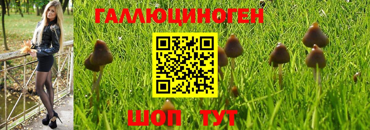 Псилоцибиновые грибы Magic Shrooms Кострома